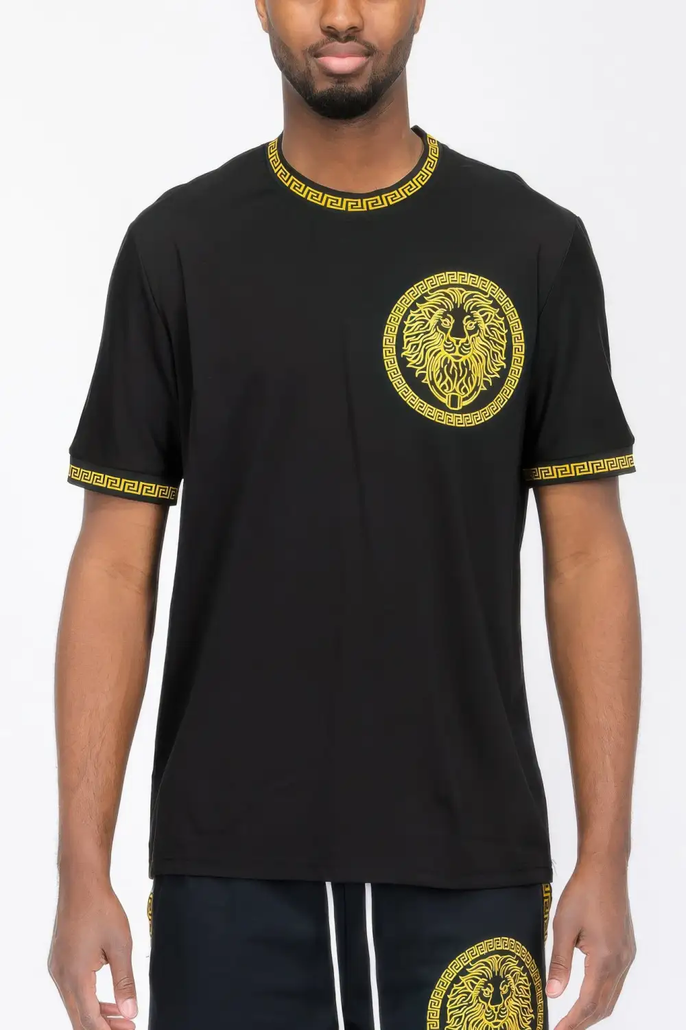 Lion Embroidery T-Shirt