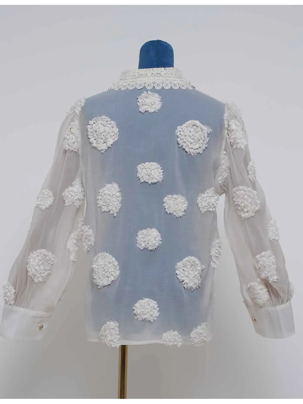 Chic Jacquard Lantern Sleeves Sheer Blouse