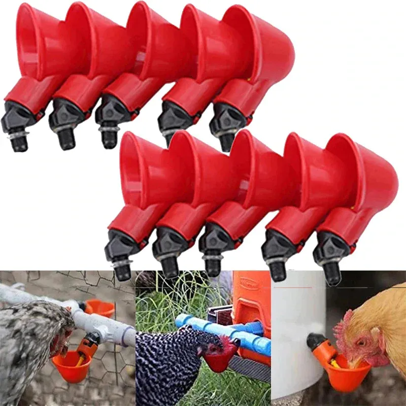 Bird Coop
