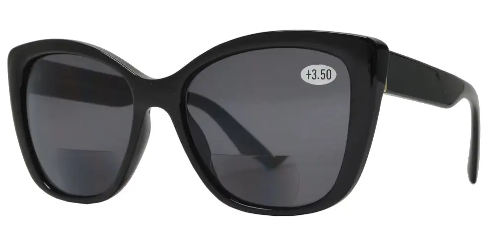 Bifocal Reading Sunglasses Reader