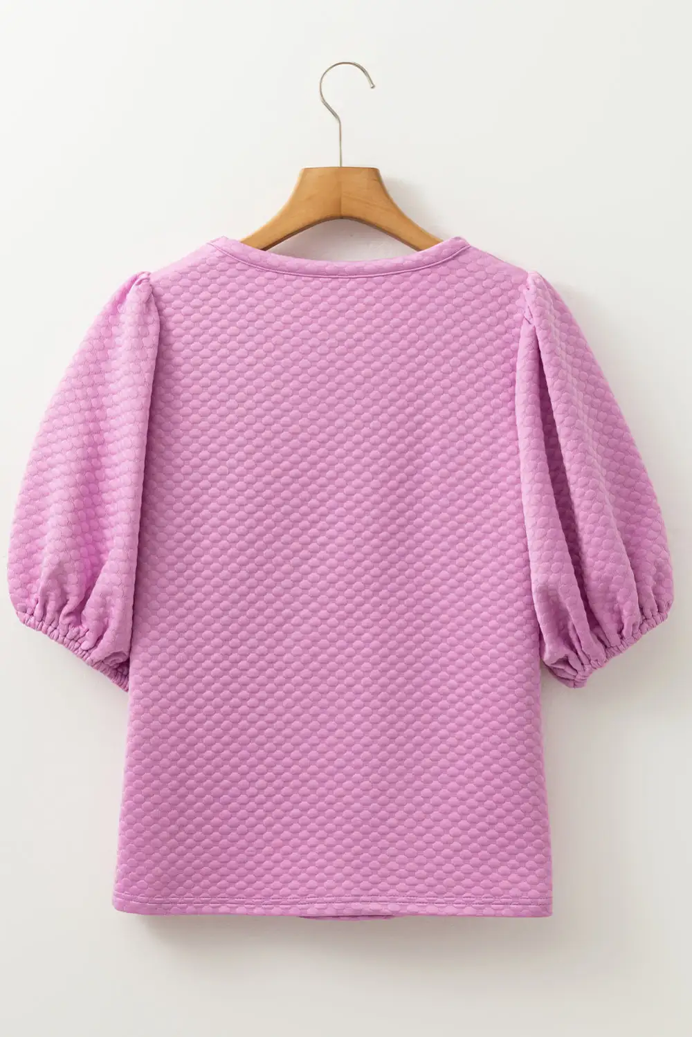 Phalaenopsis Solid Textured O Neck Puff Sleeve Blouse