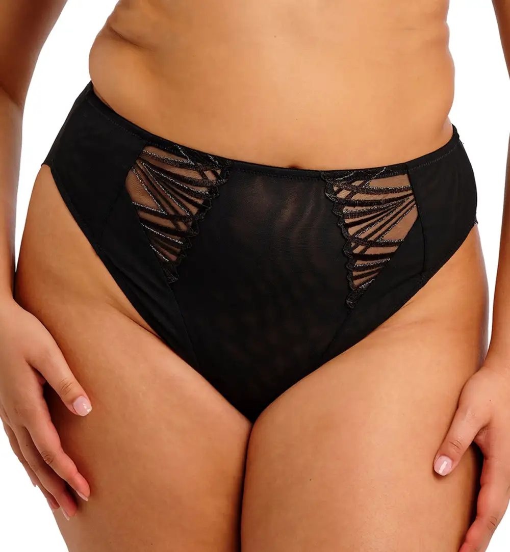 Classic High-Waist Mesh Embroidered Full-Coverage Brief Panty