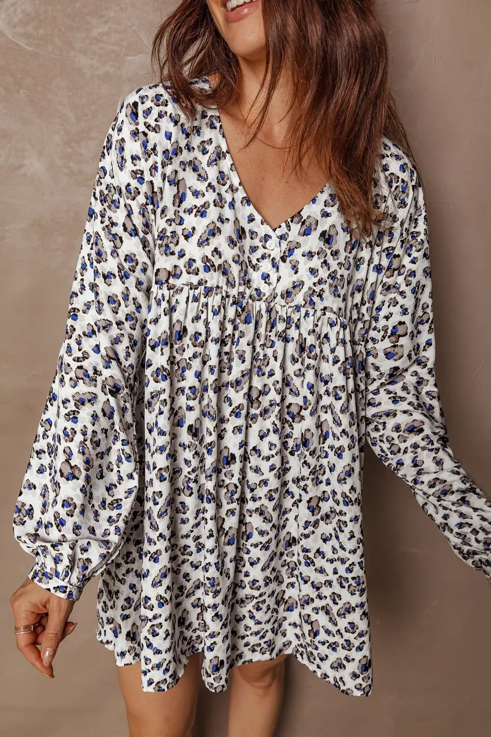 Animal Print V Neck Long Sleeve Mini Dress