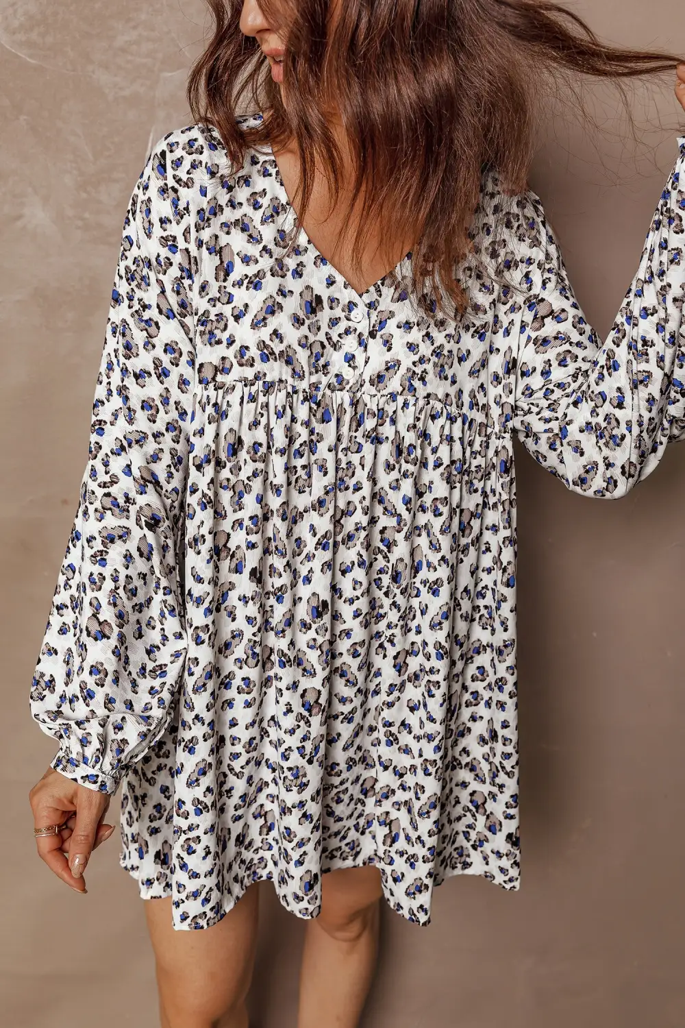 Animal Print V Neck Long Sleeve Mini Dress