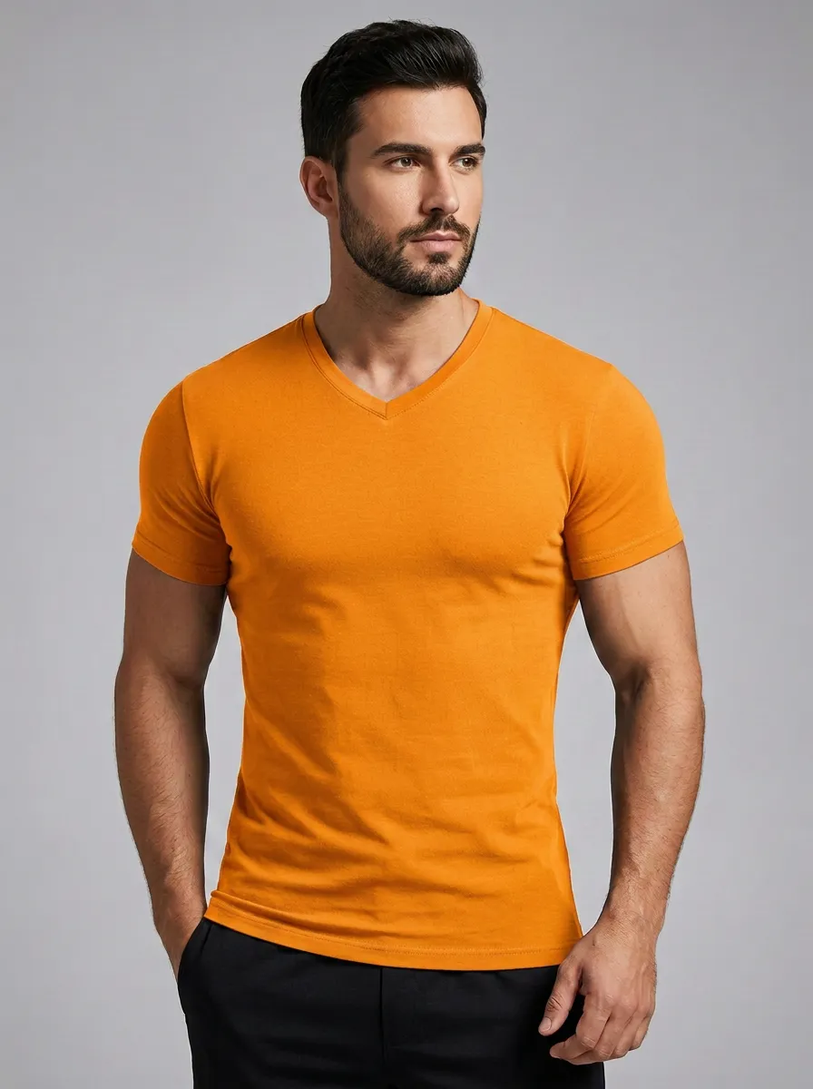 Men's Casual Basic V-Neck Fitted T-Shirt