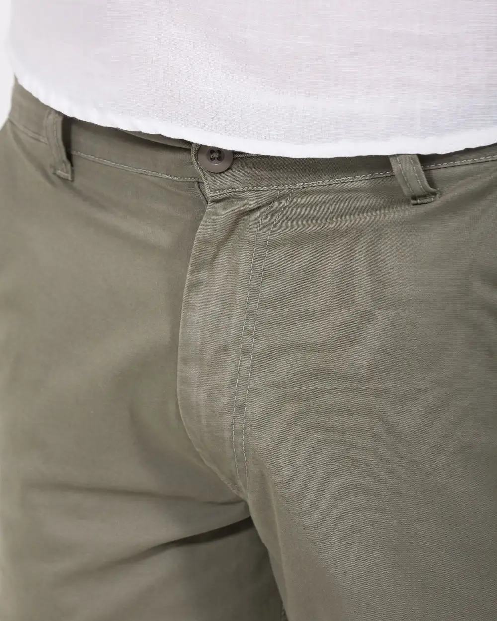 Polished Regular Fit Chino Shorts