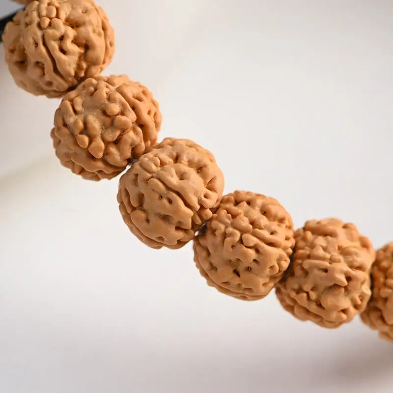 Rudraksha Bodhi Seed Auspiciousness Bracelet