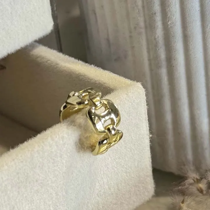 Delicate Sleek Earrings