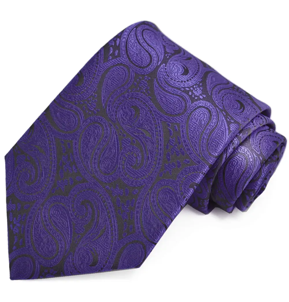 Modern Formal Paisley Men's Necktie