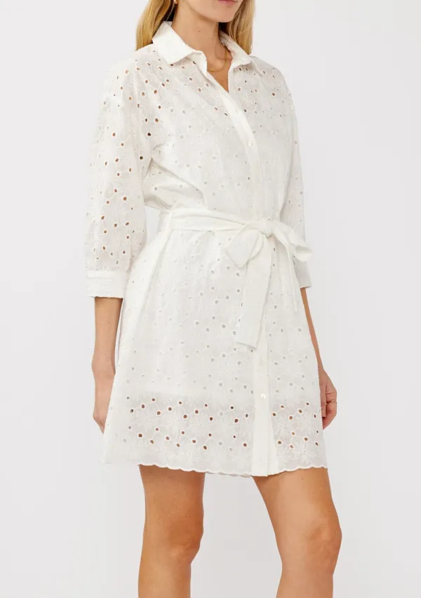 Hollow Tie Waist Mini Dress