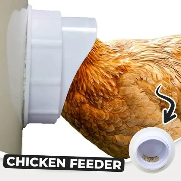 (🔥2026 Spring Hot Sale) DIY Chicken Feeder