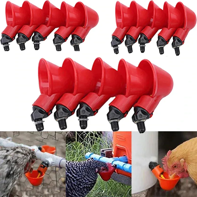 Bird Coop