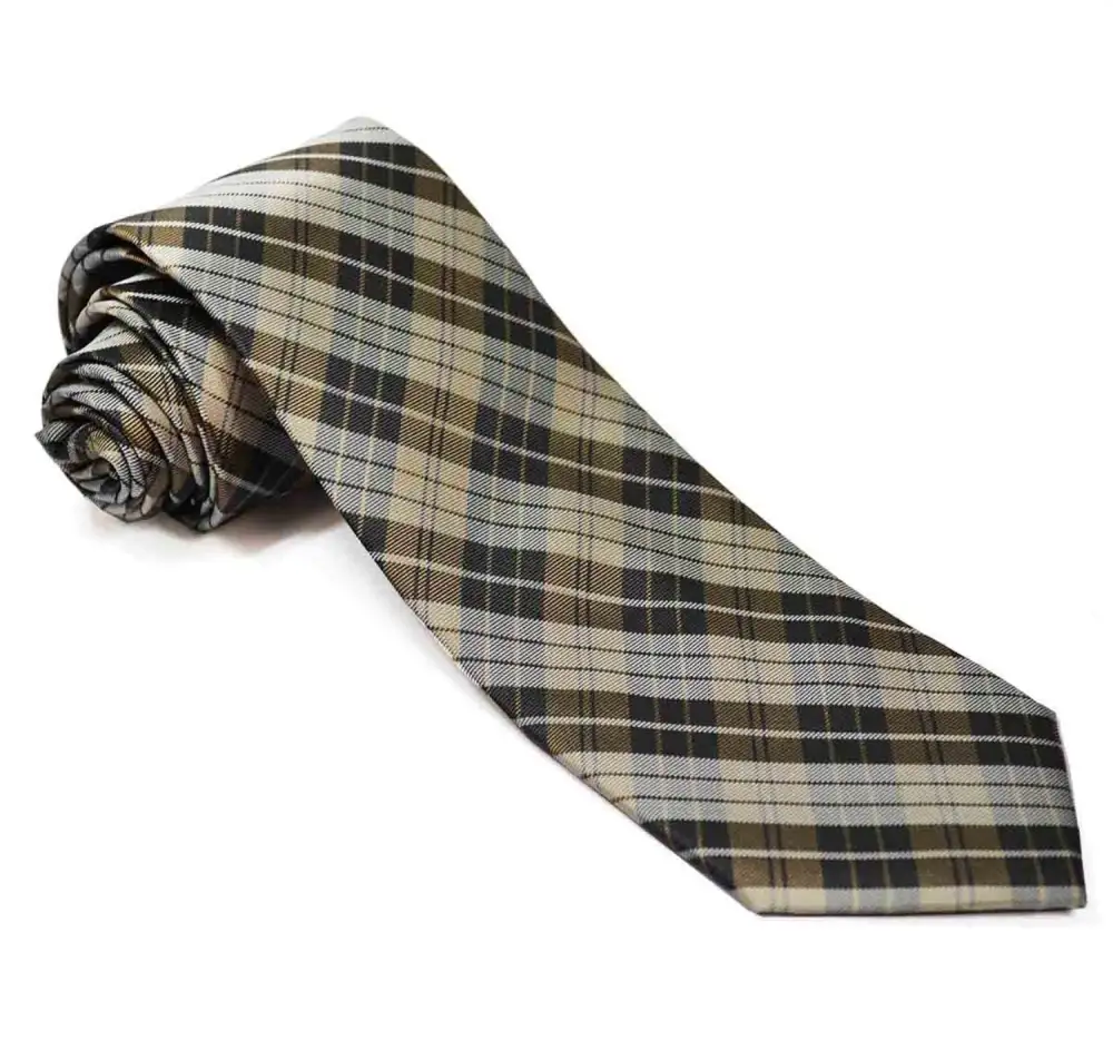 Modern Silk Plaid Men's Necktie