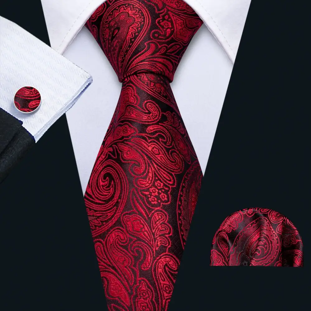 Smooth Paisley Silk Necktie Set
