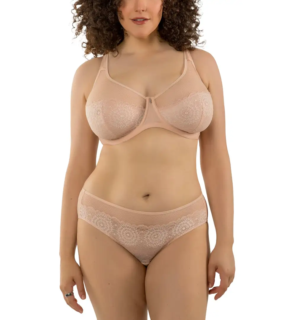 Classic Low-Rise Lace Mesh Hipster Brief Panty