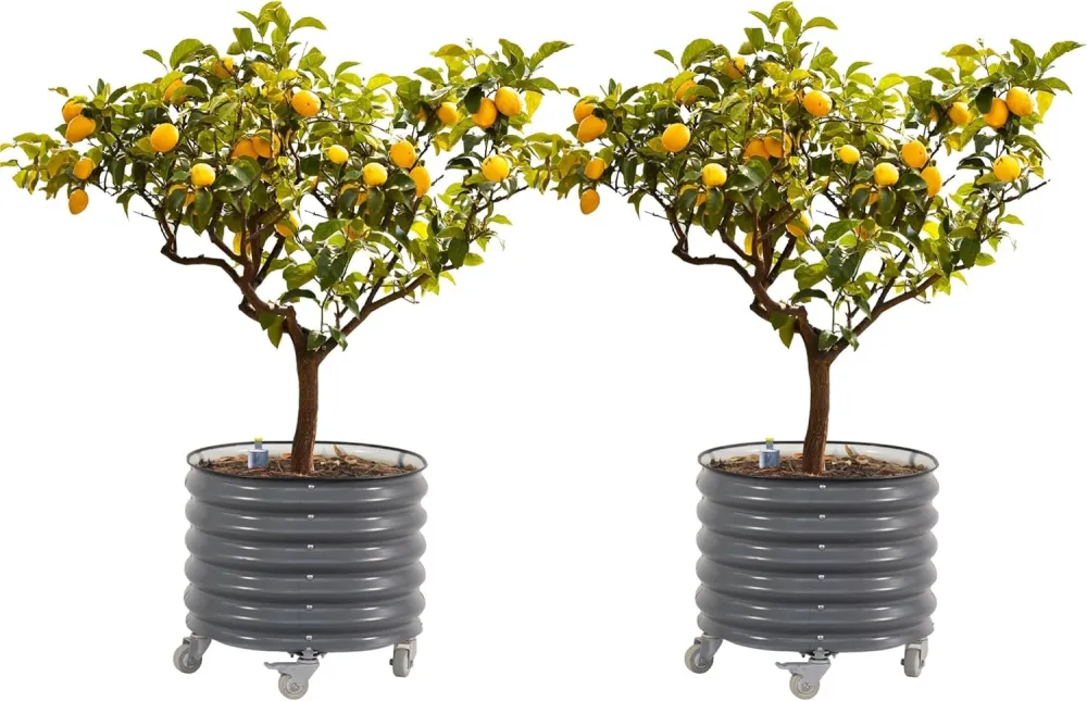Large Rolling Metal Tree Planter, Self-Watering Vegetable Pot