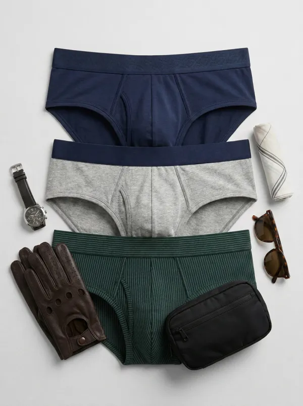 Men's Basic Everyday Multi-color Striped Printed Briefs