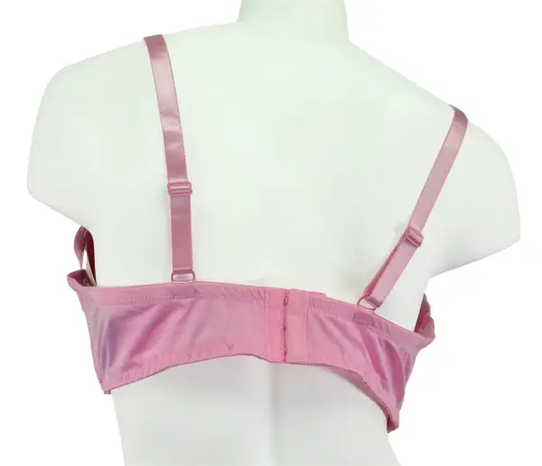 Everyday Embroidered Demi Bra