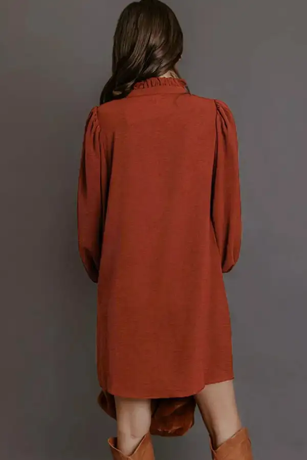 Solid Shift Long Sleeve Mini Dress