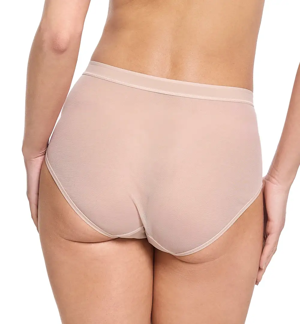 Classic High-Waist Mesh French Brief Panty