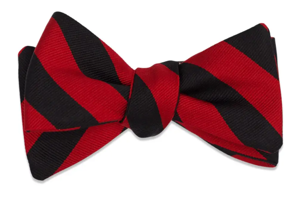 Distinctive Statement Striped Bow Tie