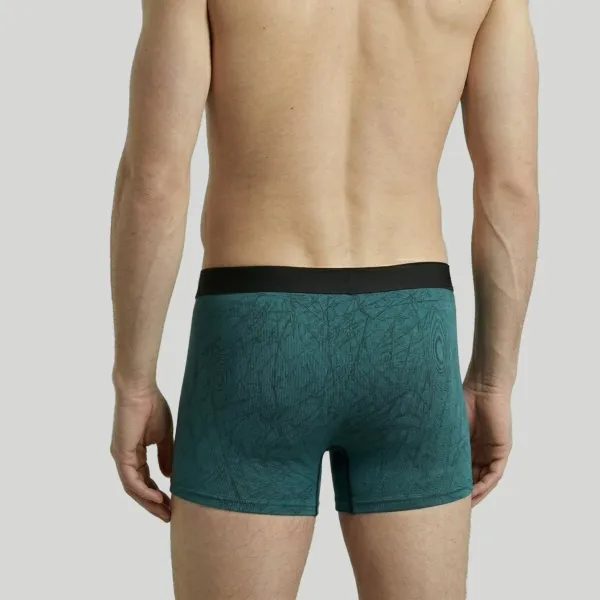 Modern Printed Briefs