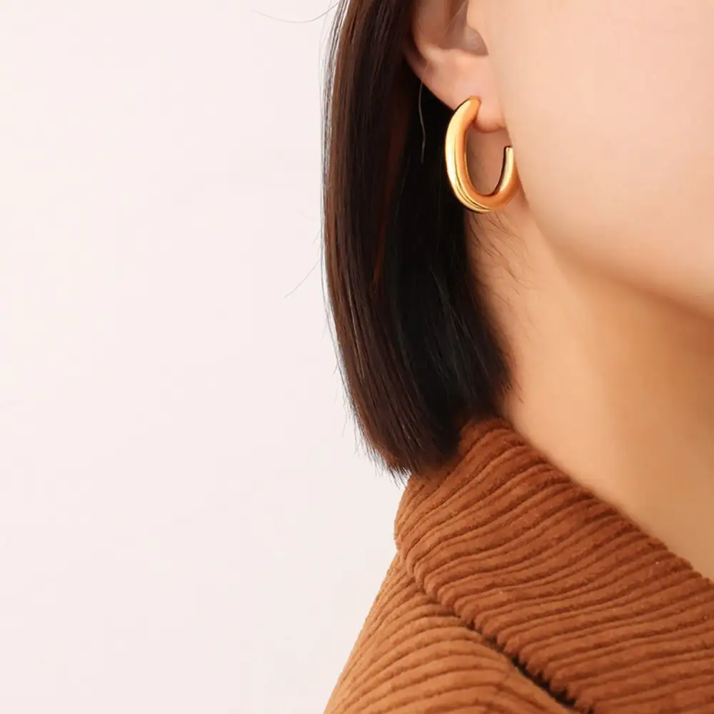 Titanium Steel Plated Earrings