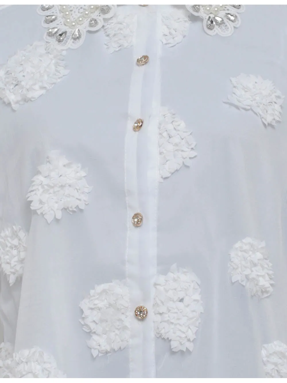 Chic Jacquard Lantern Sleeves Sheer Blouse
