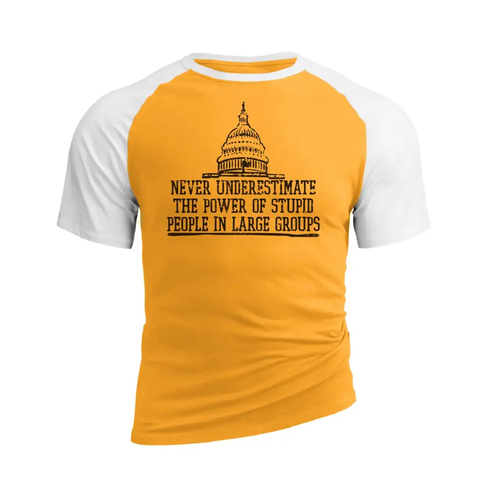 THE POWER OF STUPID PEOPLE RAGLAN GRAPHIC TEE