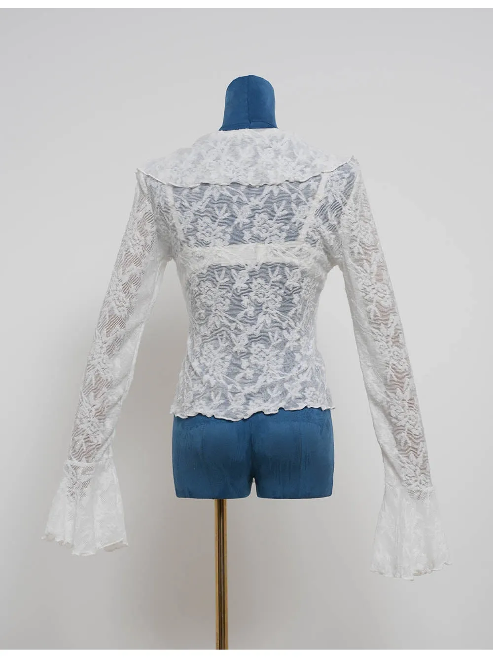 Sheer Lace Boho Ruffle V Neck Flared Sleeves Blouse