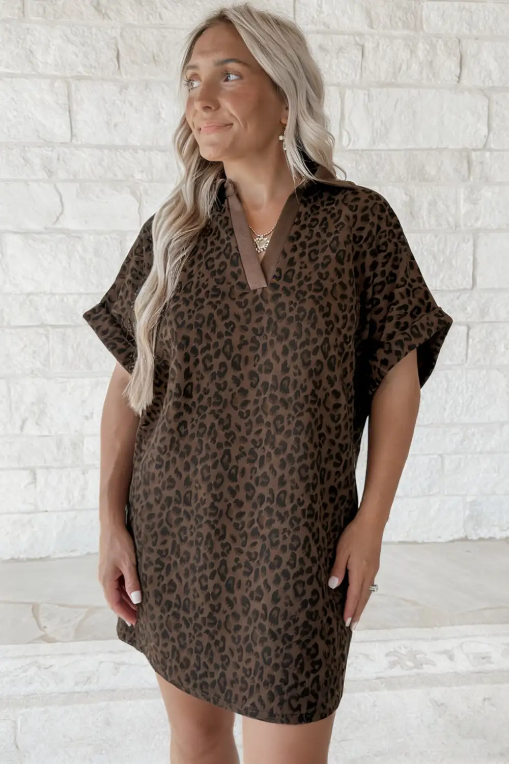 Animal Print V Neck Mini Dress