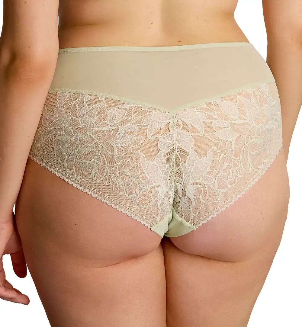 Classic High-Waist Stretch-Lace Mesh Classic Brief Panty
