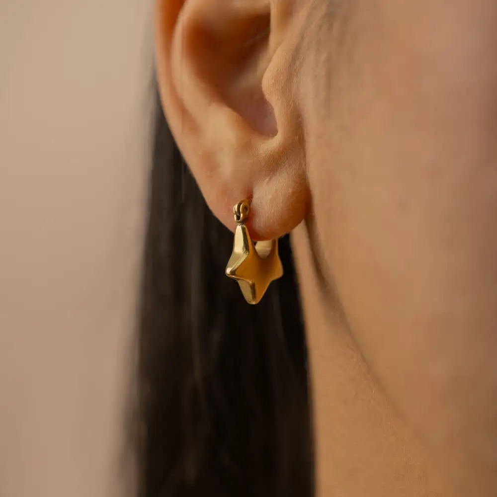 Elegant Earrings