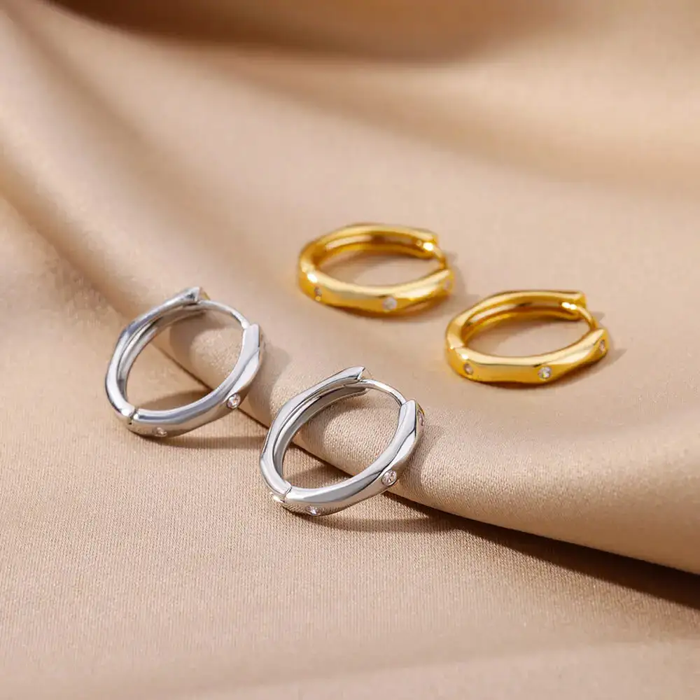 Stainless Steel Hoop Hoop Earrings