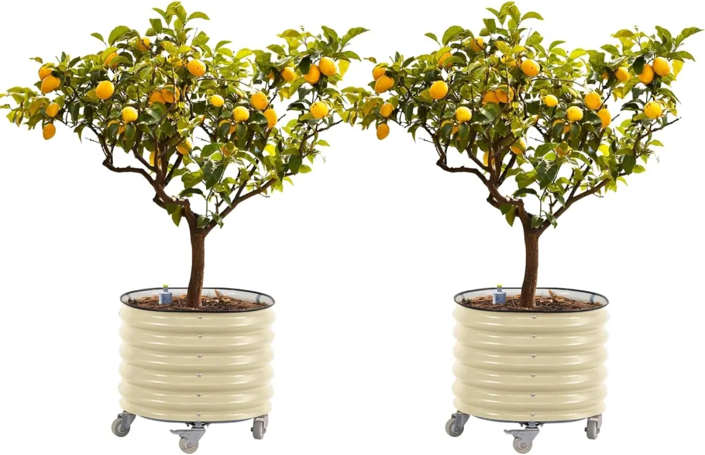 Large Rolling Metal Tree Planter, Self-Watering Vegetable Pot