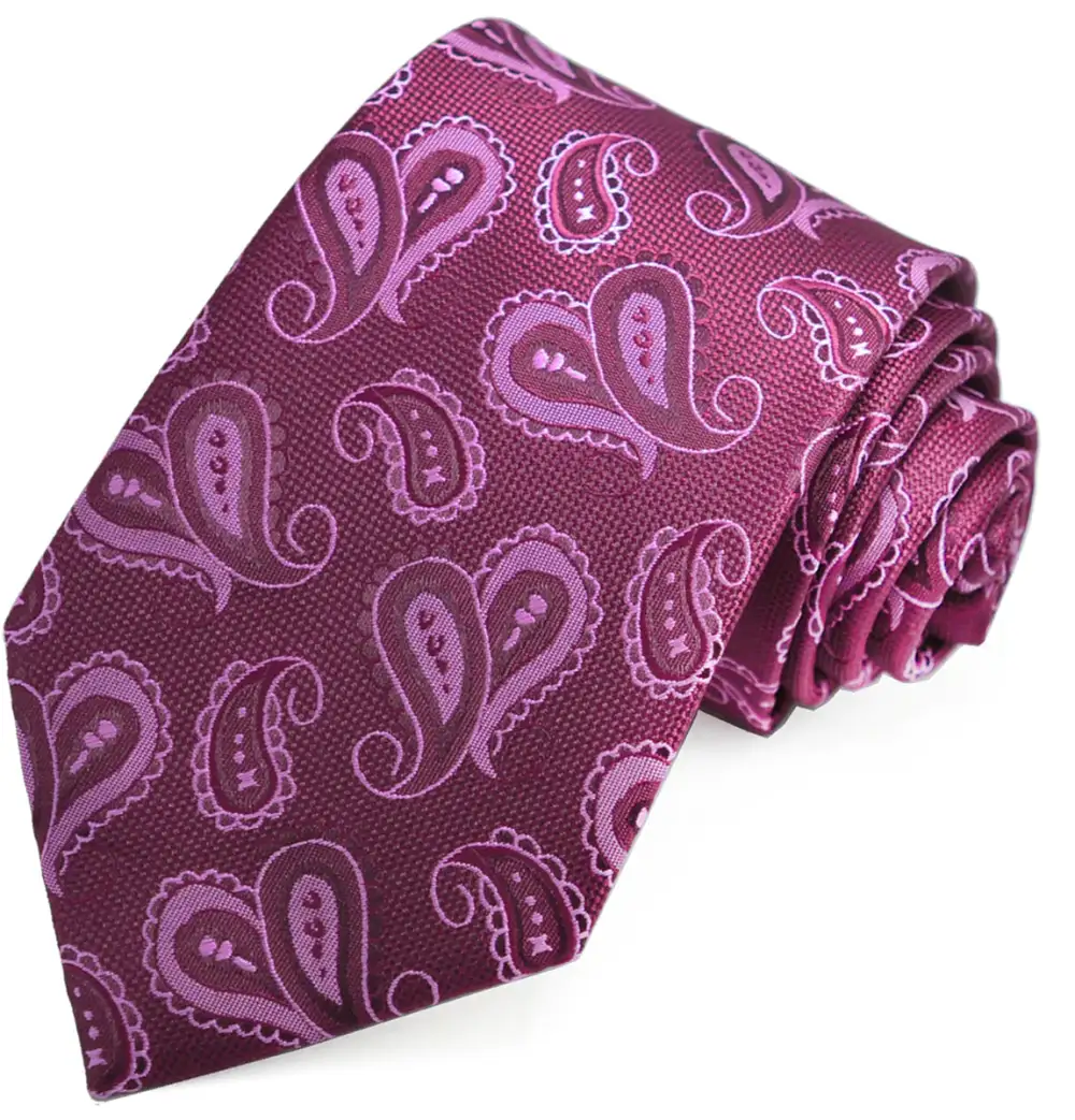 Graceful Essential Paisley Men's Necktie
