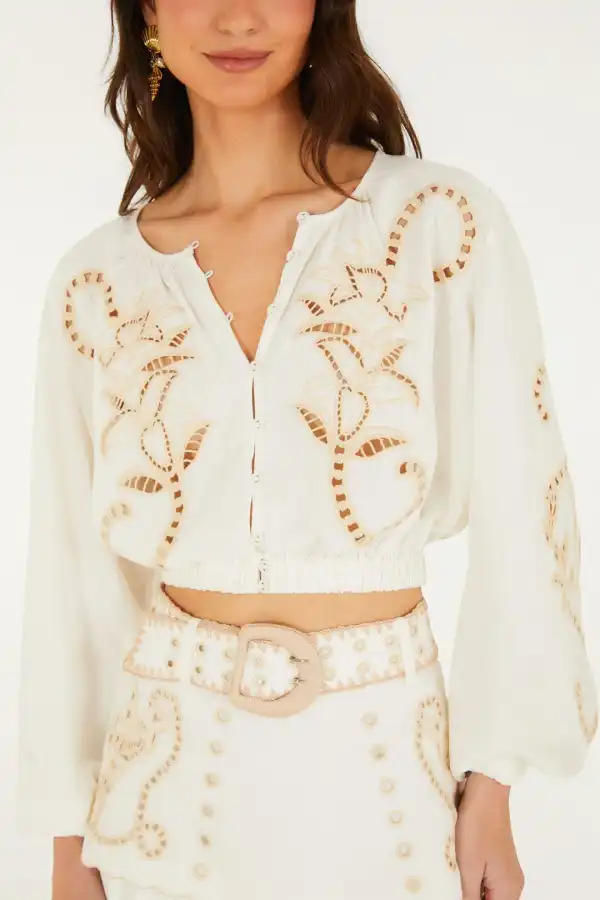 Embroidered Floral Long-Sleeve Cropped Blouse