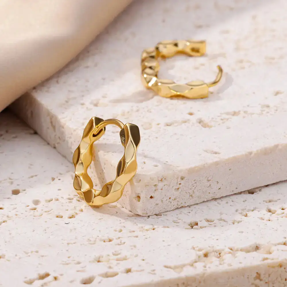 Stainless Steel Hoop Hoop Earrings
