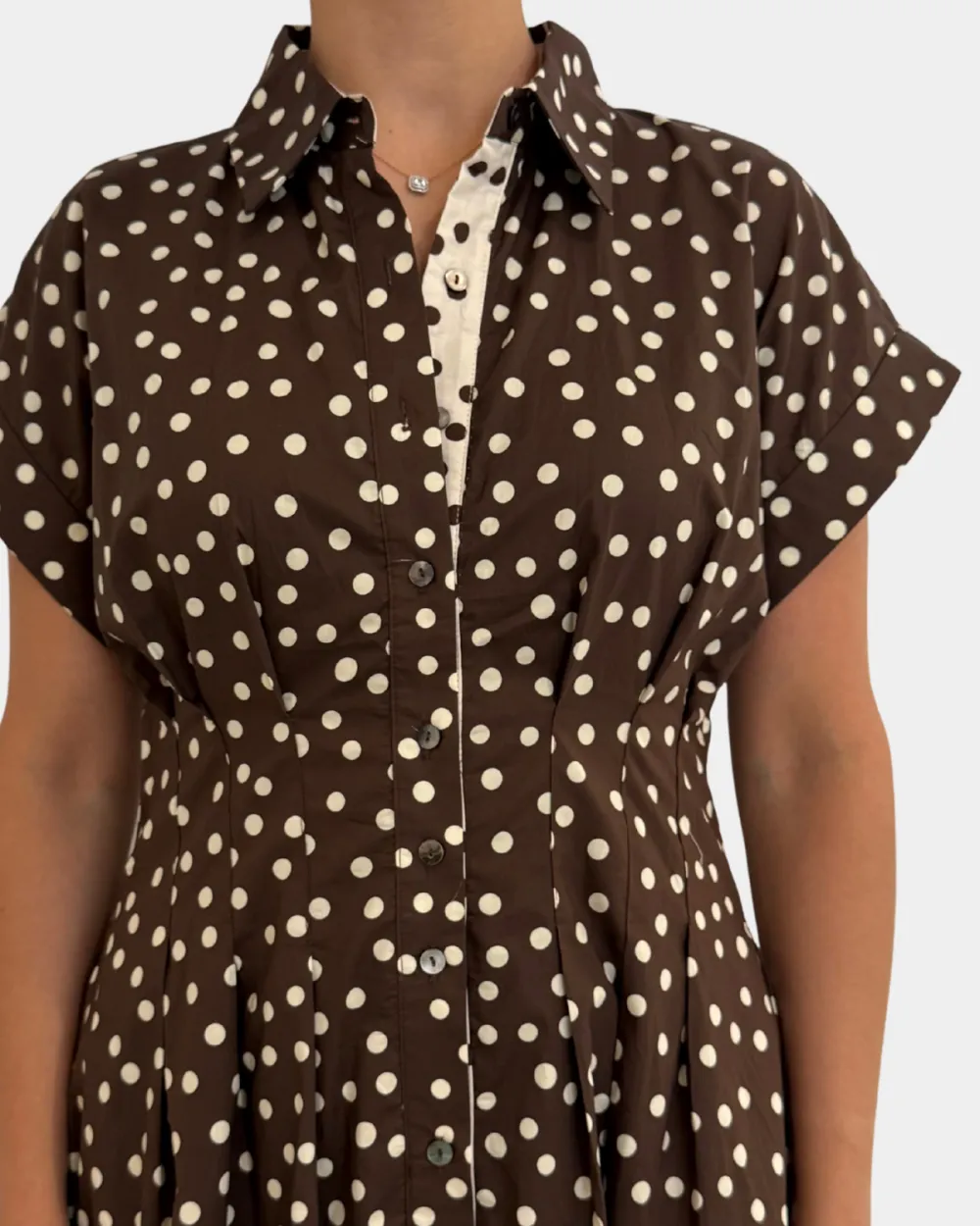Shirt Collar Polka Dot Dress