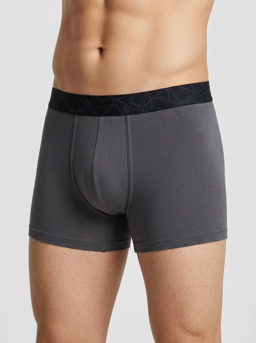 Men's Mixed Color Geometric Pattern Waistband 3-Pack Boxer Briefs