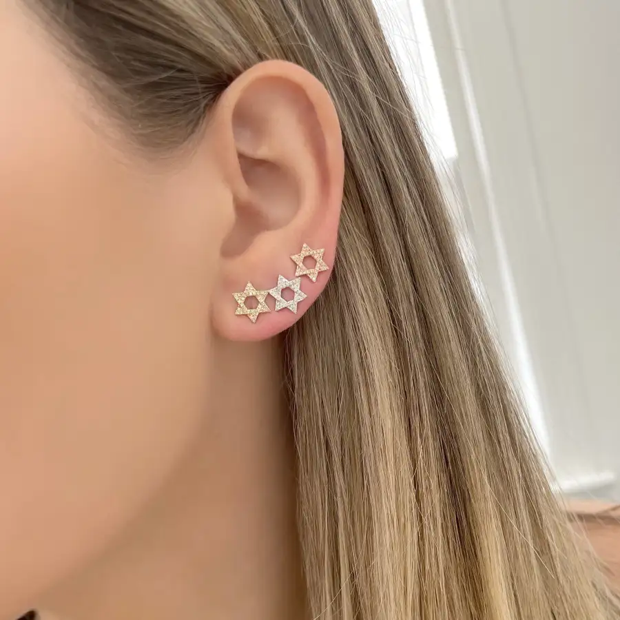 Star Gem Detail Stud Earrings