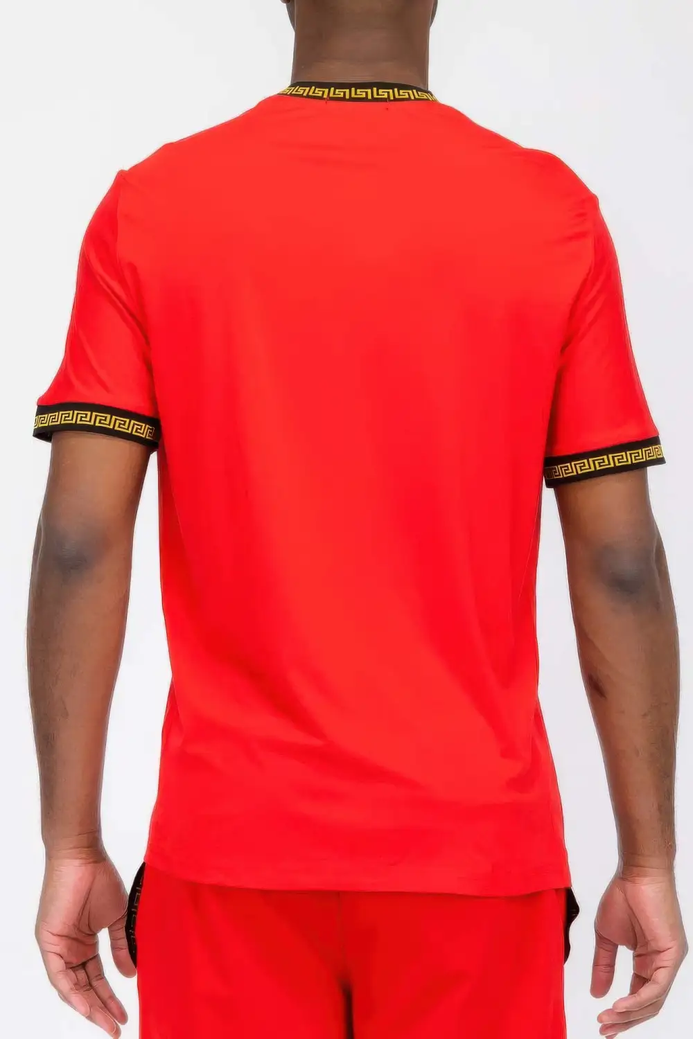 Lion Embroidery T-Shirt