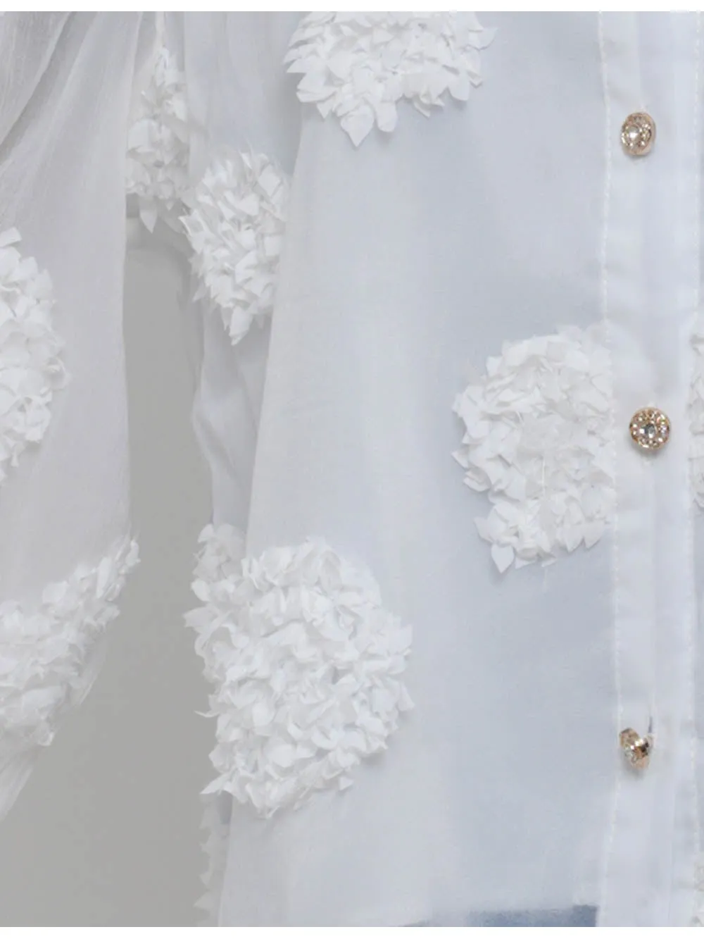 Chic Jacquard Lantern Sleeves Sheer Blouse