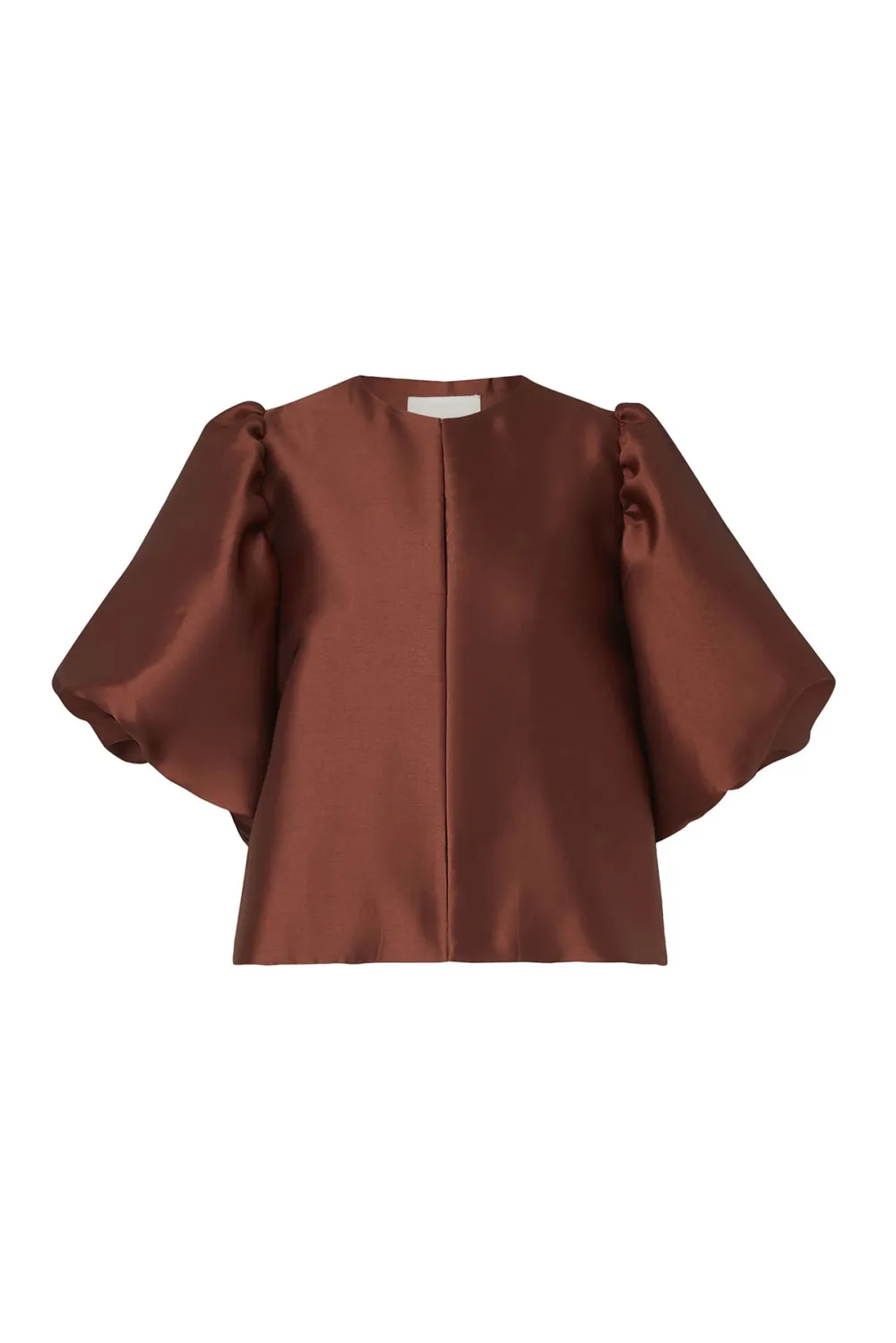 Puff Sleeve Scarf Neck Blouse