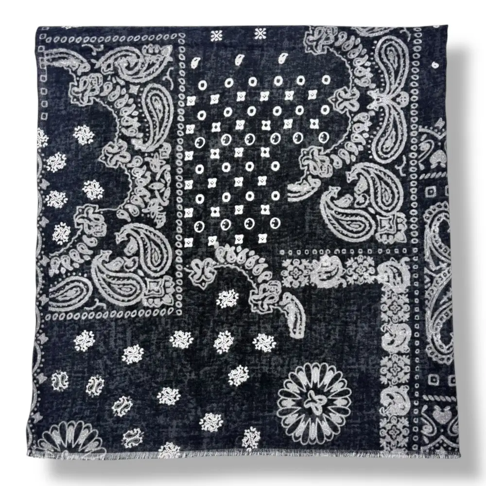 Paisley Patch Print Scarf