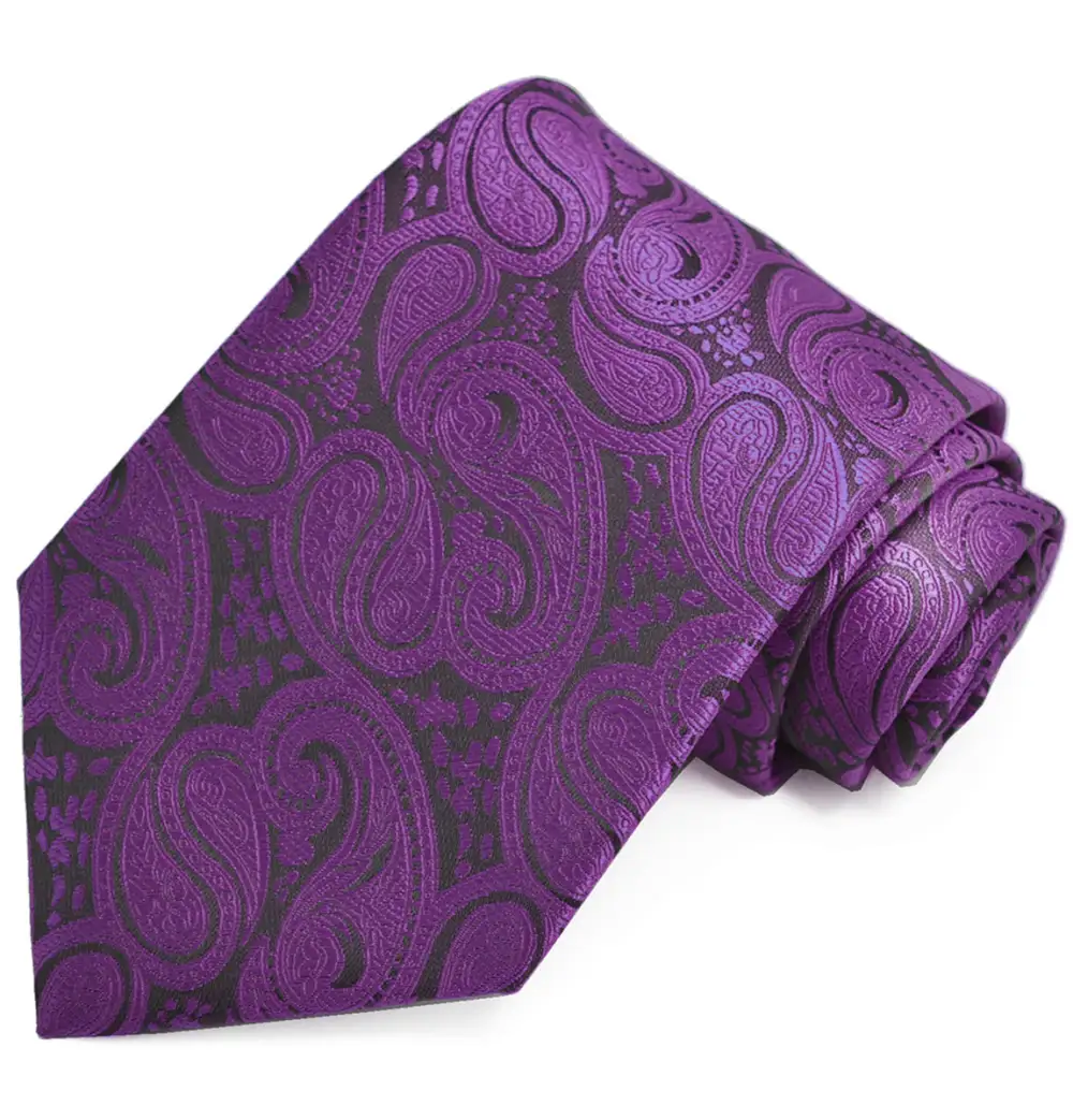 Professional Formal Paisley Men's Necktie