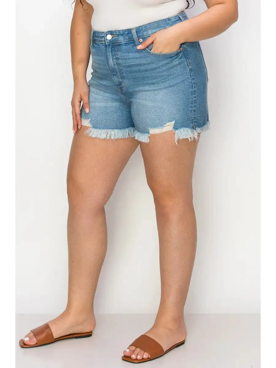 High Rise Mid Rise Frayed Hem Denim Shorts