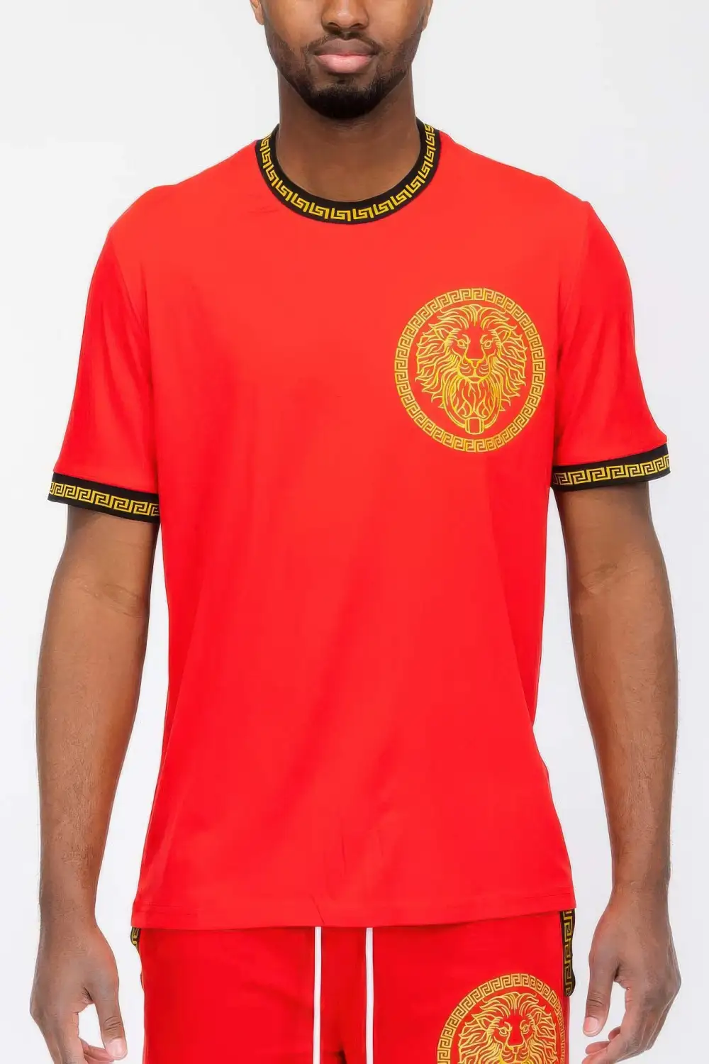 Lion Embroidery T-Shirt