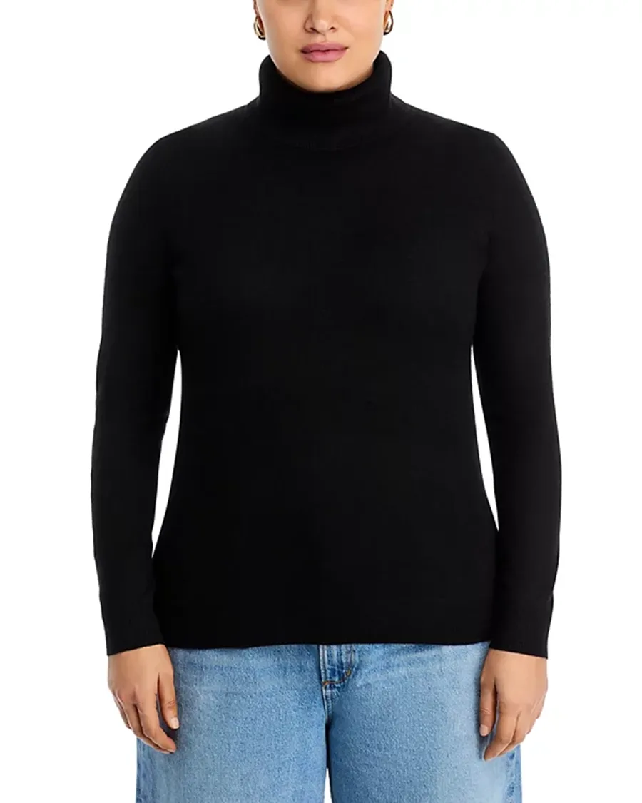 Long Sleeves Cashmere Turtleneck Sweater