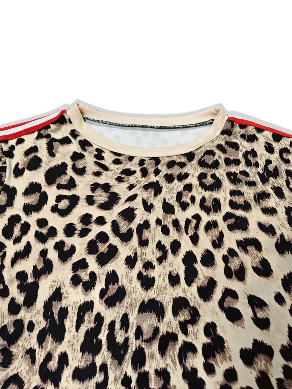 Leopard Print Long Sleeve Top and Pants Set